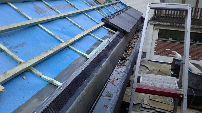 Renovatie hellend dak te Deinze: vogelwering